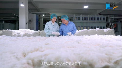 新华网探访全棉时代工厂 优质棉产品是怎样 织 成的